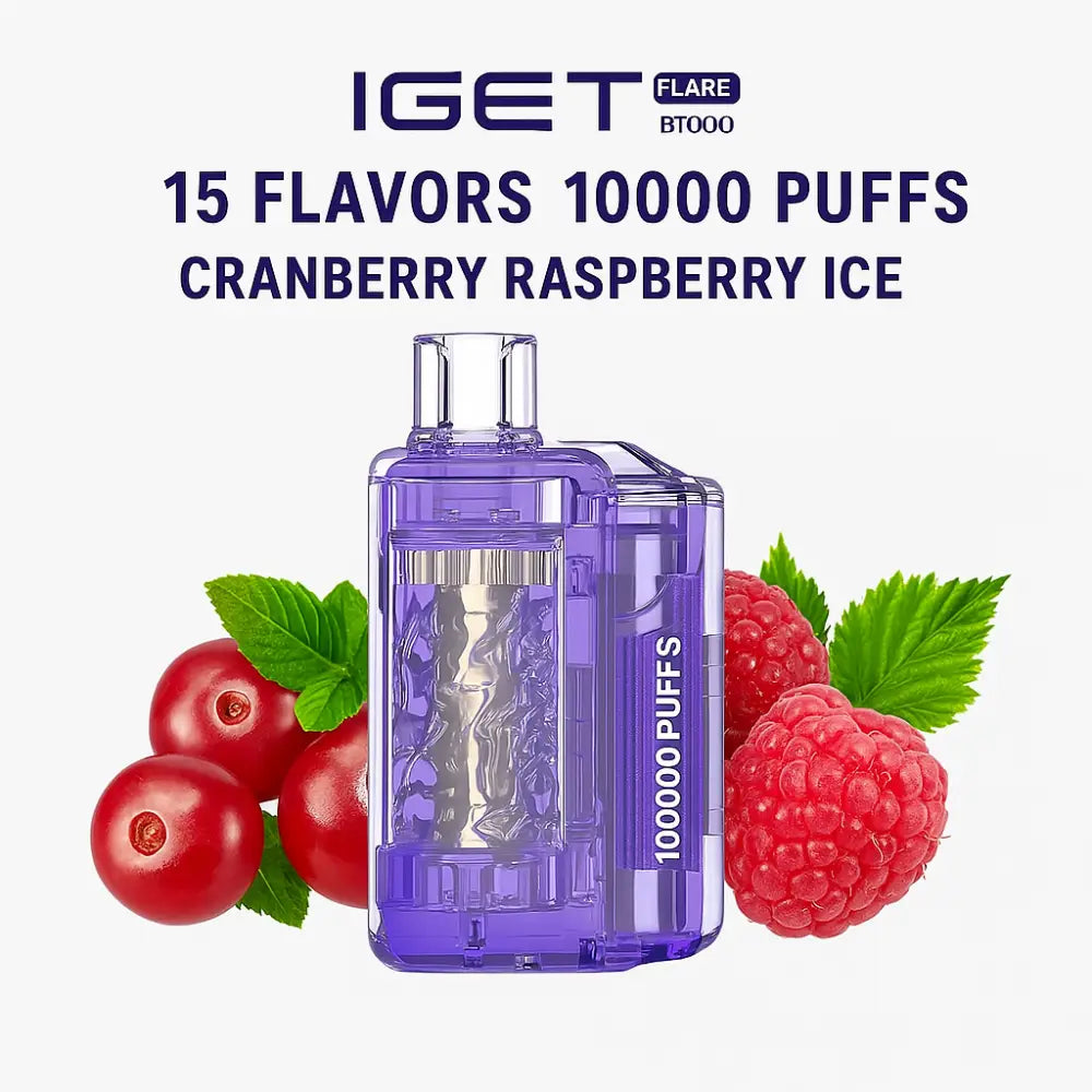 IGET Flare B10000 Strawberry Kiwi Ice 10000 puffs rechargeable disposable vape India