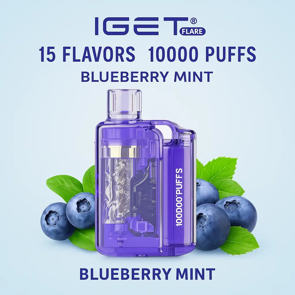 IGET Flare B10000 Double Apple rechargeable disposable vape pen by Vape Mash India, featuring USB-C charging and sleek design.